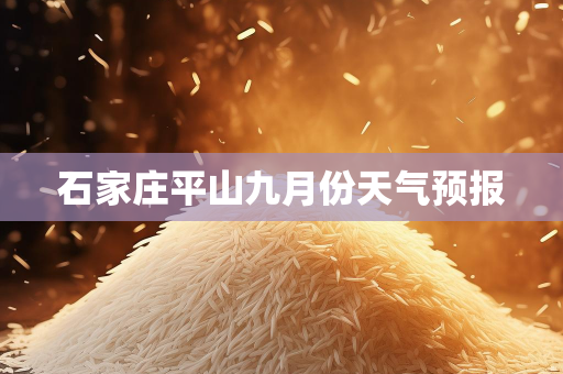 个人气候总结