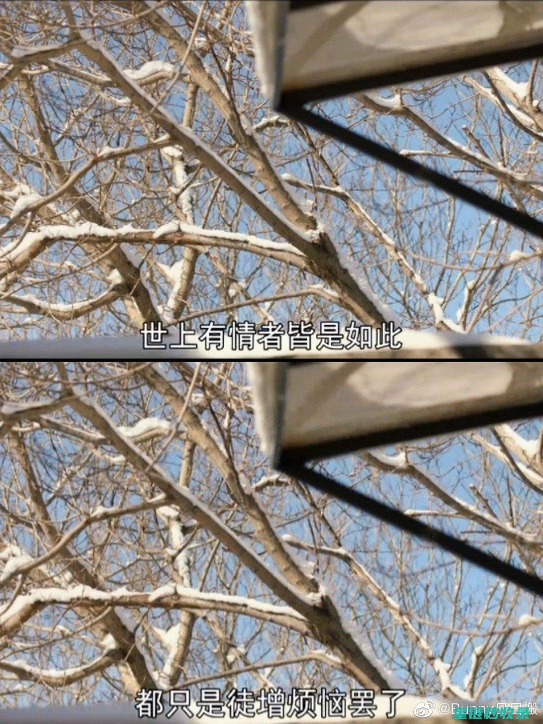 不想费力？这些快速去除双面胶的小窍门试试看 (不想费劲心思去维持一段感情)