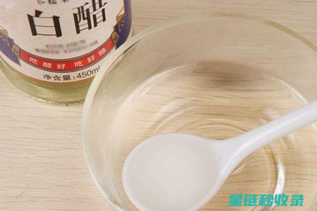 白醋在家居护理中的神奇妙用 (白醋在家居护理怎么用)