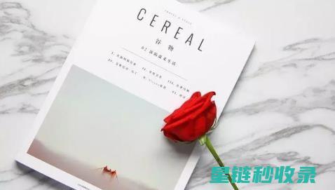 精致生活的必备：创新首饰收纳方案全解析 (精致生活必备)