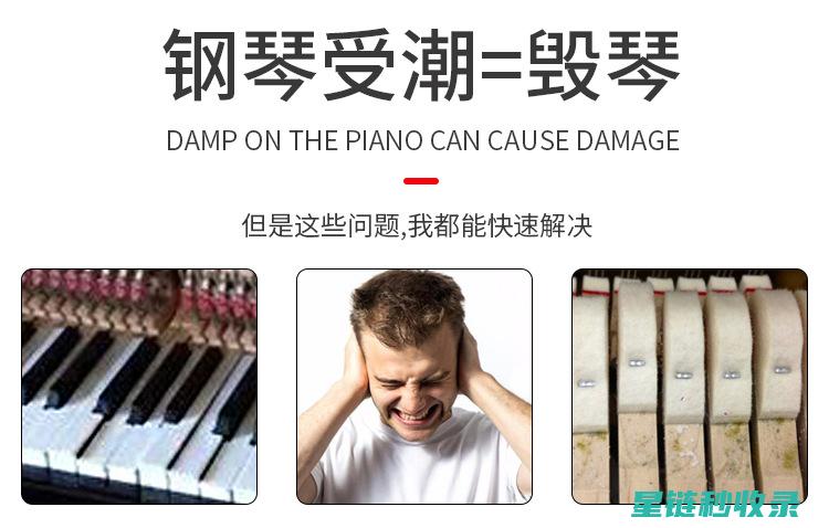 乐器防潮指南：应对潮湿环境的全面防护措施 (乐器防潮指南电子版)