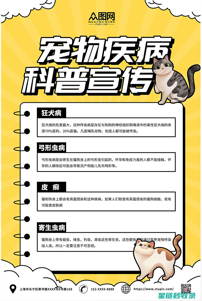 宠物安全指南：确保爱宠无忧生活之道 (宠物安全指南最新版)