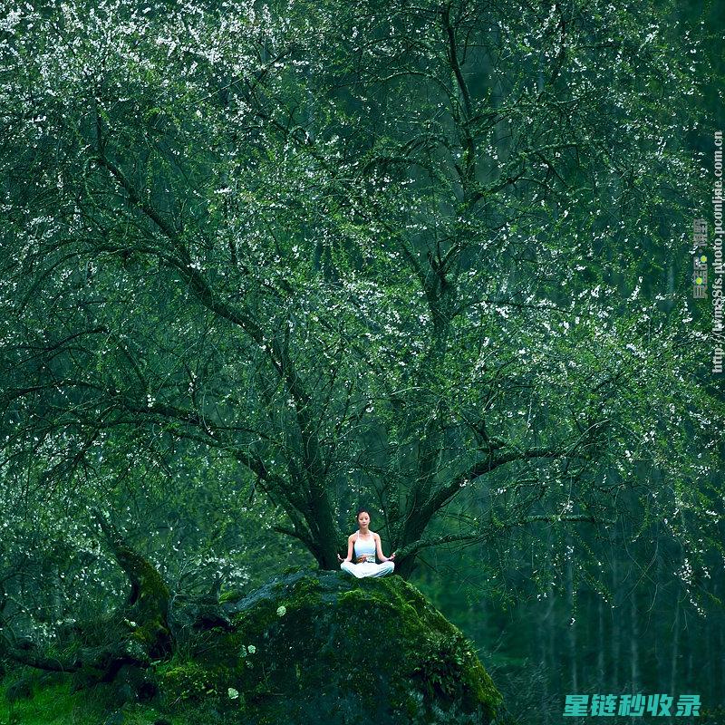 聆听寂静之美：噪音减少如何改善我们的日常生活 (聆听寂静之美是什么歌)