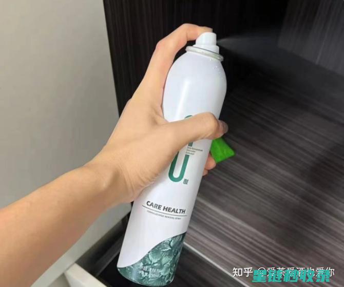 家居除醛新方案：天然植物与环保材料的完美结合 (家居除醛新方法视频)