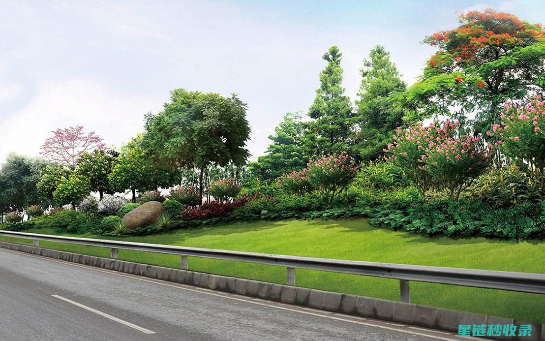 城市绿化带中的蚂蚁防治：生态友好型解决方案 (城市绿化带中水渠的作用)