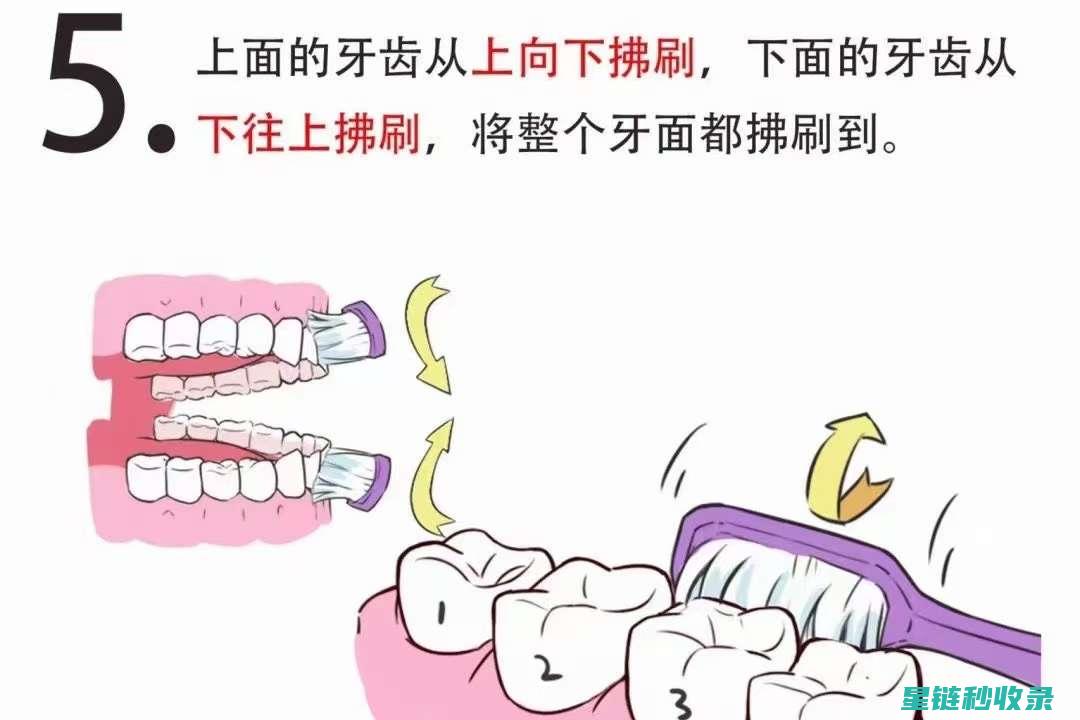 详解日常刷牙技巧：让牙齿更健康 (详解日常刷牙视频)