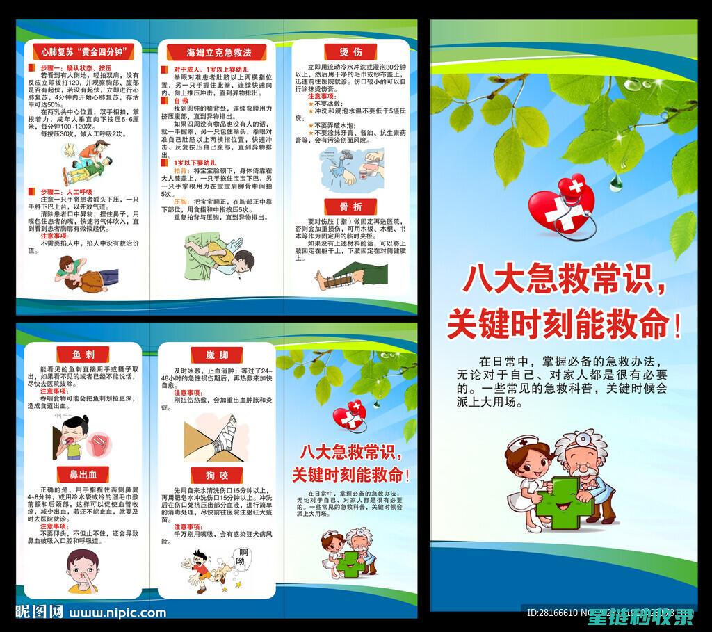 急救知识与优质药品整理指南：提升应急处理能力 (急救知识与技能)