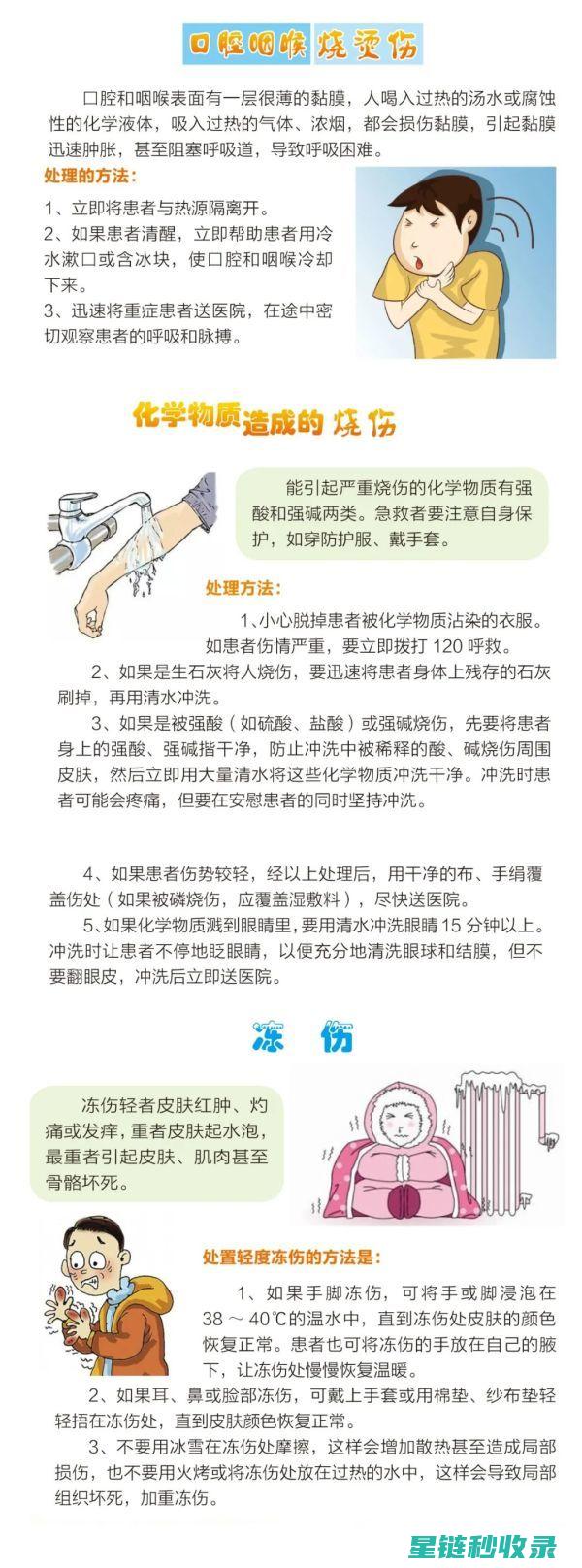 急救知识要点+精选优质药品：构建全面应急防护体系 (急救知识要点总结)
