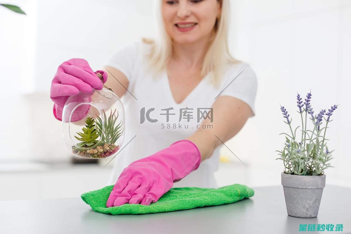 深度清洁你的睡眠环境：枕头除螨指南 (深度清洁你的皮肤英文)