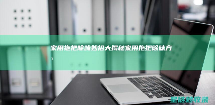 家用拖把除味妙招大揭秘 (家用拖把除味方法)