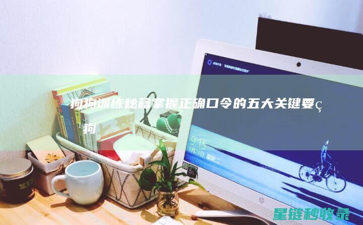 狗狗训练秘籍：掌握正确口令的五大关键要点 (狗狗训练秘籍大全)