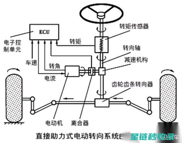 从一次性转向持久：揭秘自杯复用的无限可能 (从一次性转向什么意思)