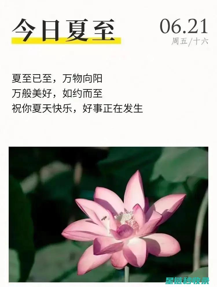 夏日消暑新奇吃法：西瓜皮凉拌的独特风味探索 (夏日消暑食物图片)