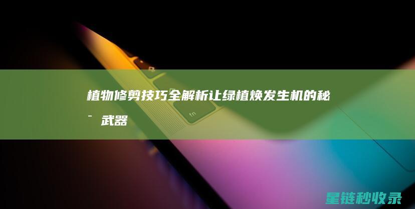 植物修剪技巧全解析：让绿植焕发生机的秘密武器 (植物修剪技巧的心得感悟怎么写)