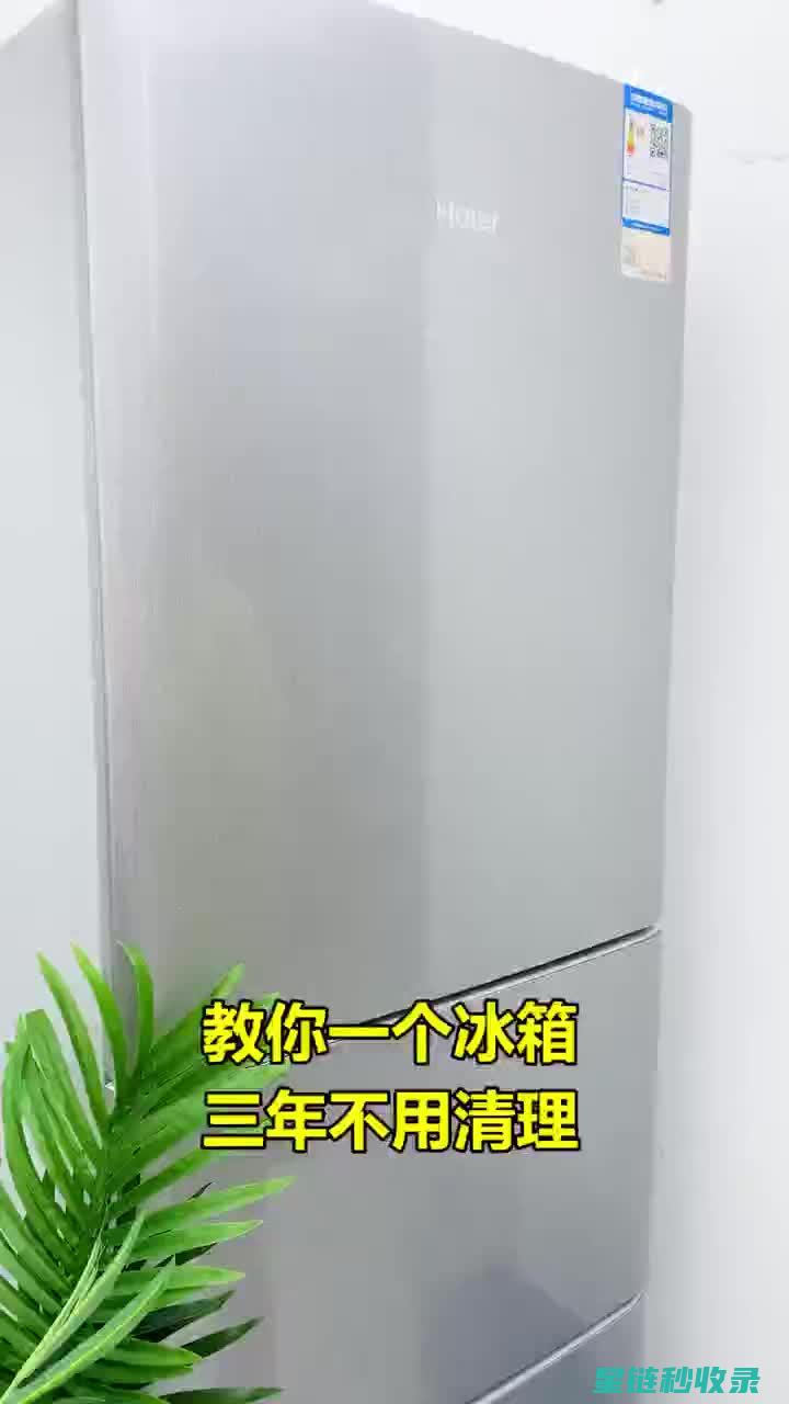 冰箱除异味全解析：不同食材的存储与除味 (冰箱除异味全过程视频)