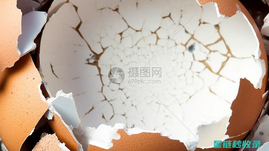 告别破裂蛋！轻松煮蛋的小窍门 (破裂蛋壳图片)