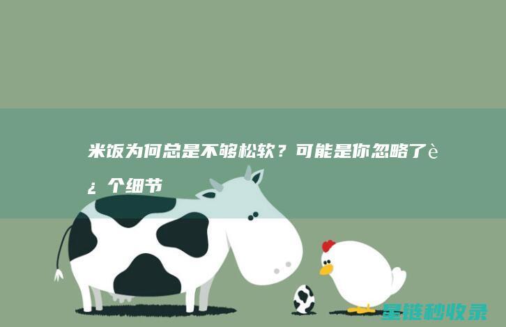 米饭为何总是不够松软？可能是你忽略了这个细节 (米饭为何总是粘粘的)