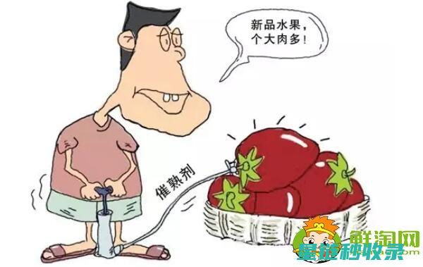 水果催熟：家庭实用技巧与专业方法的结合 (水果催熟法)