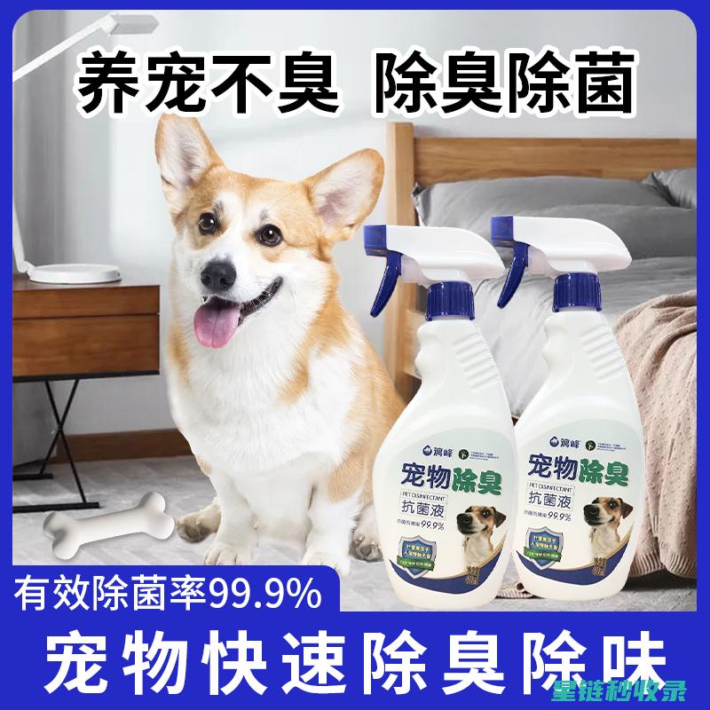 宠物异味去除：这些方法能让你的宠物焕发出新活力 (宠物异味去除剂)