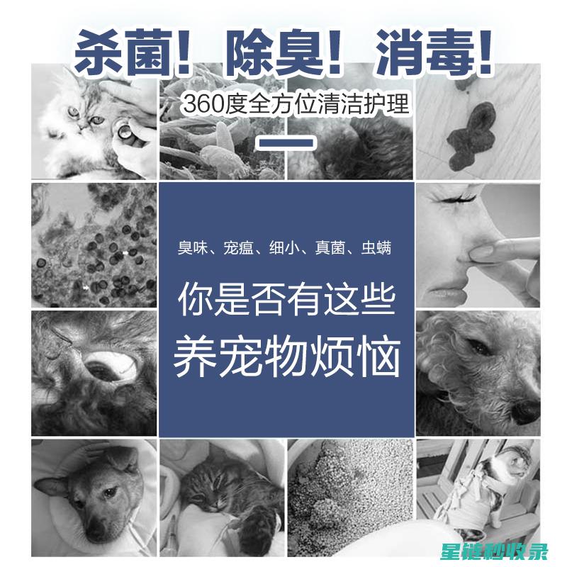 宠物异味去除：你是否忽视了这些细节？ (宠物异味去除剂)
