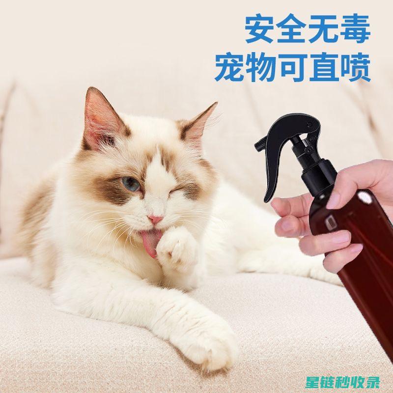 宠物异味去除：这些方法能让你的宠物散发出迷人的气息 (宠物异味去除剂)