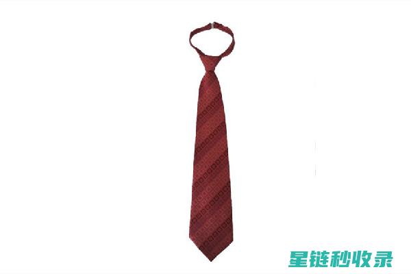领带收纳艺术：展示你的独特品味 (领带收纳艺术图片)