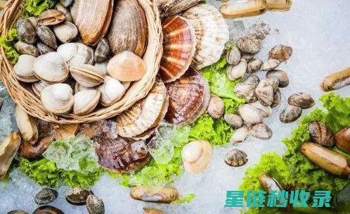 贝类吐沙：探索海洋生态系统的微妙平衡 (贝类吐沙时,在水里放入什么会有奇效?)