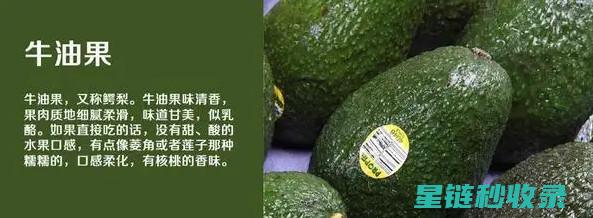 防止牛油果氧化：简单易行的保鲜妙招 (防止牛油果氧化)