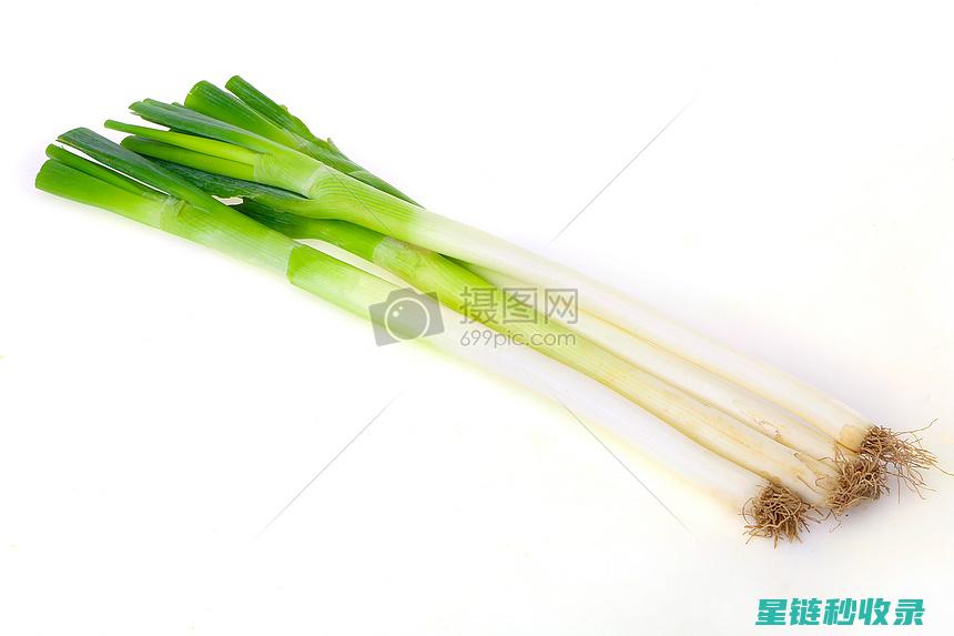 大葱储存技巧大分享：教你如何让大葱保存得更久 (大葱储存技巧视频)