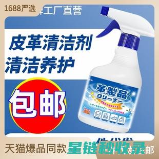 皮革去污与翻新：专业与家庭清洁的对比分析 (皮革去污与翻新哪个好)