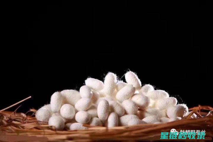 丝巾的清洗与保养：实用技巧与注意事项 (丝巾的清洗与保养)