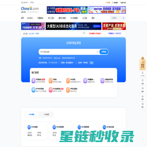 IP/IPv6查询，服务器地址查询 - 站长工具